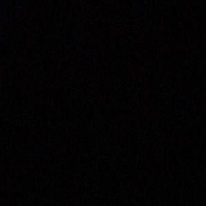 Meet your Posher, Lilly